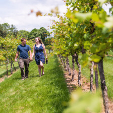 Walking through the vines at Clover Hill Winery in Breinigsville, Pennsylvania