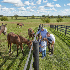 Petting horses at Gainsborough Farm in Versailles, Kentucky