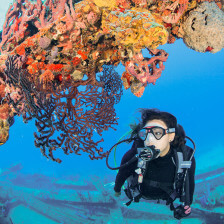 Snorkelling in St. Croix in the U.S. Virgin Islands