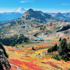 The bright colors of Yellow Aster Butte in Bellingham, Washington