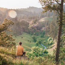 Viewing the lush scenery and bison of Wind Cave National Park in Custer County, South Dakota