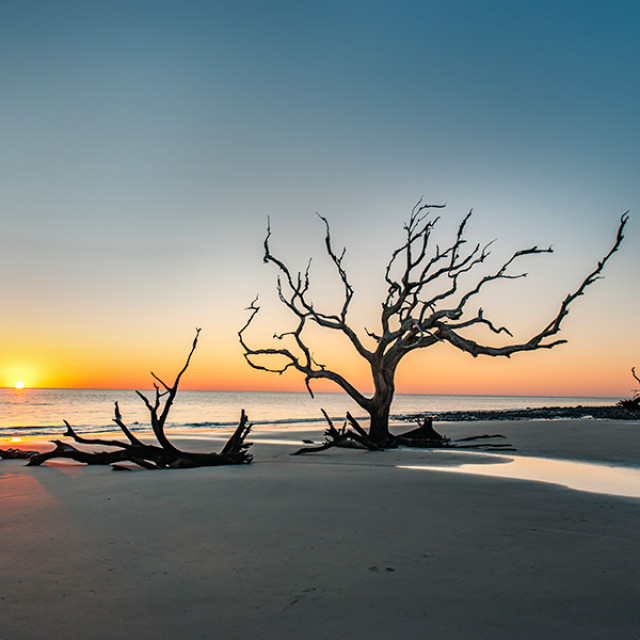 Moody view of Driftwood Beach on Jekyll Island, Georgia