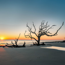 Moody view of Driftwood Beach on Jekyll Island, Georgia