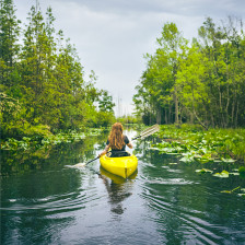 Paddling Georgia's Okefenokee Swamp