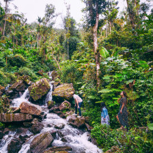 Climbing to a waterfall in Puerto Rico's El Yunque National Forest